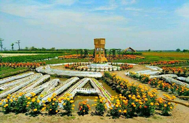 Alamat Dan Harga Tiket Taman Agro Wisata Jombang Spot