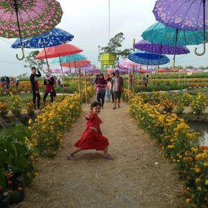 Alamat dan Harga Tiket Taman Agro Wisata Jombang, Spot Wisata Ngehits Terbaru