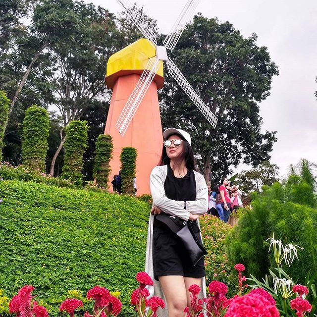 Lokasi Dan Harga Tiket Masuk Taman Bunga Celosia Bandungan
