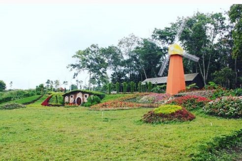 Lokasi dan Harga Tiket Masuk Taman Bunga Celosia Bandungan Semarang, Spot Wisata Ngehits Ala Liburan di Negeri Dongeng