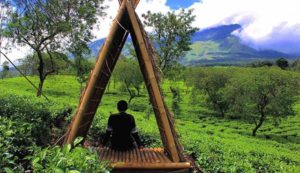 Lokasi dan Rute Menuju Bukit Kuneer Malang, Destinasi Wisata Alam dengan View Hamparan Kebun Teh