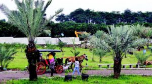 Lokasi dan Harga Tiket Masuk Kebun Kurma Pasuruan, Serunya Liburan Serasa Di Timur Tengah