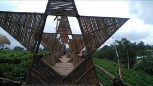 Lokasi dan Harga Tiket Masuk Taman Bintang Kemuning, Ketika Kebun Teh Disulap Menjadi Spot Wisata Yang Menarik