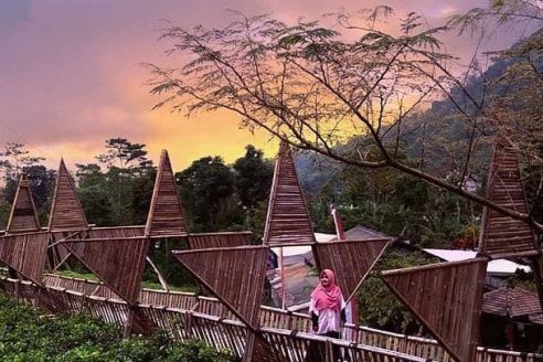 Lokasi dan Harga Tiket Masuk Taman Bintang Kemuning, Ketika Kebun Teh Disulap Menjadi Spot Wisata Yang Menarik