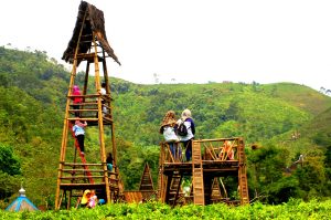 Lokasi dan Harga Tiket Masuk Taman Bintang Kemuning, Ketika Kebun Teh Disulap Menjadi Spot Wisata Yang Menarik