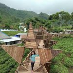 Lokasi dan Harga Tiket Masuk Taman Bintang Kemuning, Ketika Kebun Teh Disulap Menjadi Spot Wisata Yang Menarik