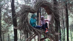 Lokasi dan Harga Tiket Masuk Bukit Pinus Wonosalam Jombang, Destinasi Wisata Asyik Dengan Sejuta Spot Foto Menarik