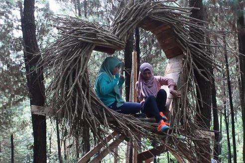 Lokasi dan Harga Tiket Masuk Bukit Pinus Wonosalam Jombang, Destinasi Wisata Asyik Dengan Sejuta Spot Foto Menarik
