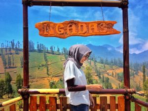 Lokasi dan Jalan Menuju Desa Ngadas Malang, Desa Tertinggi di Pulau Jawa dengan Sejarah Unik