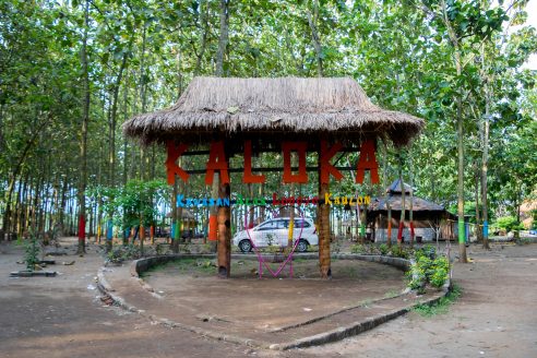 Harga Tiket dan Rute Menuju Kaloka Lodoyo Blitar, Spot Wisata Terbaru Yang Layak Untuk Diburu