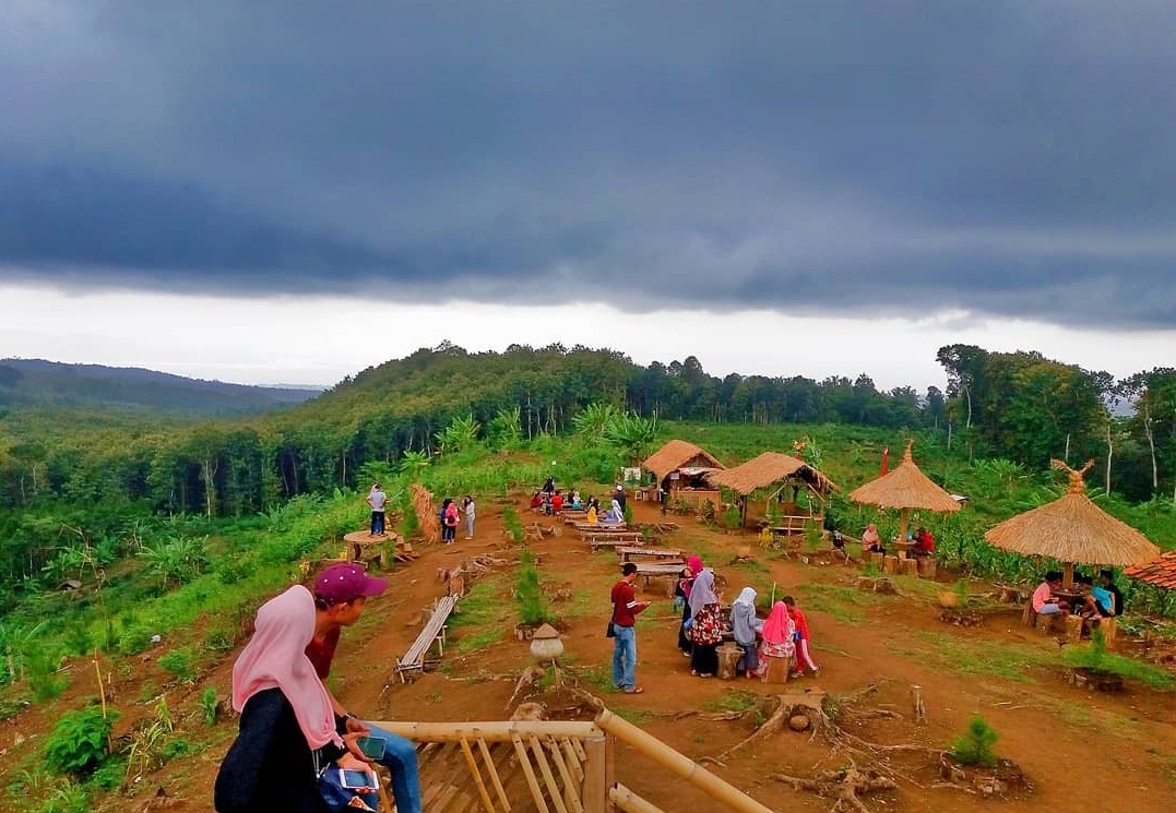 Lokasi dan Jalan Menuju Puncak Asmoro Banyuwangi