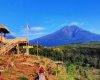 Lokasi dan Jalan Menuju Puncak Asmoro Banyuwangi, Destinasi Wisata Apik Dengan Suguhan View Selat Bali