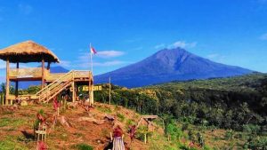 Lokasi dan Jalan Menuju Puncak Asmoro Banyuwangi, Destinasi Wisata Apik Dengan Suguhan View Selat Bali