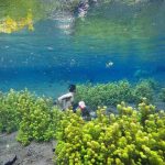 Lokasi dan Harga Tiket Masuk Sumber Sirah Malang, Nikmati Kesegaran Sumber Mata Air Yang Begitu Jernih