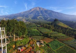 Harga Tiket Masuk dan Rute Menuju Silancur Highland Magelang, Pesona Keindahan Alam dari Jawa Tengah