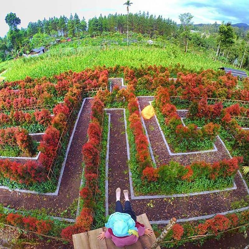 Lokasi Dan Rute Menuju Lembah Asri Serang Purbalingga Rest