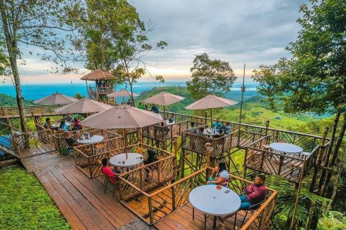 Lokasi dan Harga Tiket Masuk Rumah Pohon Habitat Pamah Sumatera Utara, Wisata Ngehits dengan View Yang Apik