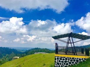 Lokasi dan Harga Tiket Masuk Bukit Kembang Arum Temanggung, Spot Baru Untuk Nikmati Suasana Segar Pegunungan