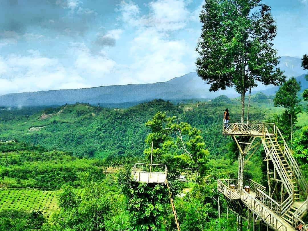 Tempat Wisata Di Langkat Dan Binjai Tempat Wisata Indonesia