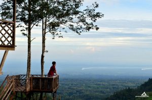 Lokasi dan Harga Tiket Masuk Rumah Pohon Habitat Pamah Sumatera Utara, Wisata Ngehits dengan View Yang Apik
