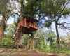 Rute dan Harga Tiket Masuk Gligi Forest Park Madiun, Destinasi Wisata Alam Untuk Menenangkan Pikiran