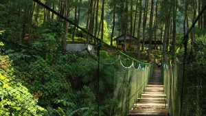 Rute dan Harga Tiket Masuk Loji Suaka Elang Bogor,  Destinasi Wisata Apik dengan Suguhan Keindahan Alami