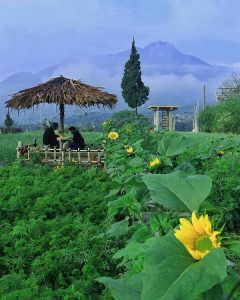 Lokasi dan Rute Menuju Tretes Taman Tani Boyolali, Pesona Keindahan Wisata Taman Bunga dengan View Hijau Sekelilingnya
