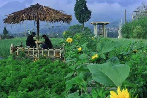 Lokasi dan Rute Menuju Tretes Taman Tani Boyolali, Pesona Keindahan Wisata Taman Bunga dengan View Hijau Sekelilingnya