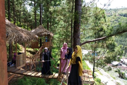Jam Buka dan Harga Tiket Taman Oemah Pinus Tegal, Spot Wisata Baru dengan Suguhan Keindahan Alam Asri