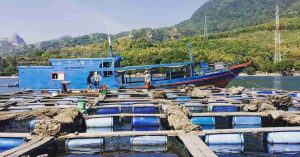Alamat dan Harga Tiket Masuk Kampung Kerapu Situbondo, Destinasi Wisata Menawan dengan Suguhan Dermaga Melingkar
