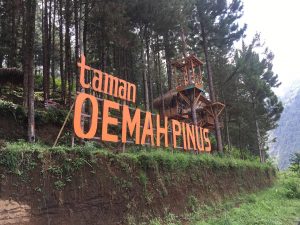 Jam Buka dan Harga Tiket Taman Oemah Pinus Tegal, Spot Wisata Baru dengan Suguhan Keindahan Alam Asri