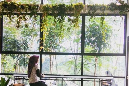 Lokasi dan Harga Menu Halojae Cafe Bandung, Cafe Sekaligus Penginapan Yang Instagramable