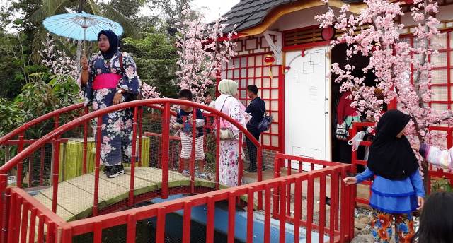 Lokasi Dan Harga Tiket Masuk Istana Sakura Blitar Serunya Menikmati Suasana Serasa Di Jepang Daka Tour