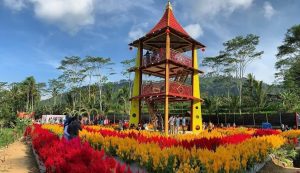 Lokasi dan Rute Menuju Taman Bunga Pagoda Kaliangkrik Magelang, Destinasi Wisata Ngehits Kekinian