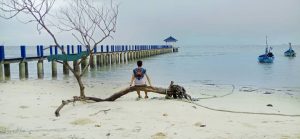 Rute dan Harga Tiket Masuk Pantai Karang Jahe Rembang, Keindahan Pantai dengan View Pohon Cemara