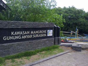 Jam Buka dan Harga Tiket Masuk Hutan Mangrove Gunung Anyar Surabaya, Destinasi Wisata Asri Dibalik Panasnya Surabaya