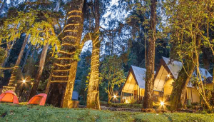 Wahana dan Harga Tiket Mojosemi Forest Park Magetan, Suguhan Wisata Keluarga dengan Konsep Agrowisata