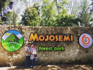 Wahana dan Harga Tiket Mojosemi Forest Park Magetan, Suguhan Wisata Keluarga dengan Konsep Agrowisata