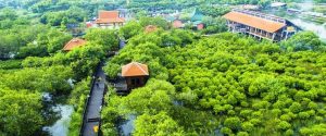 Jam Buka dan Harga Tiket Masuk Hutan Mangrove Gunung Anyar Surabaya, Destinasi Wisata Asri Dibalik Panasnya Surabaya