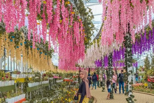 Jam Buka dan Harga Tiket Masuk Flora Wisata San Terra Pujon, Nikmati Serunya Berwisata Serasa di Korea dan Belanda