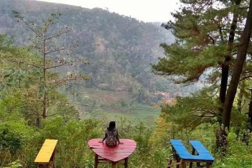 Harga Tiket Masuk dan Lokasi Hutan Wisata Sreni Indah Jepara, Suguhan Keindahan Wisata Alam Dibawah Kaki Gunung Muria