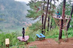 Harga Tiket Masuk dan Lokasi Hutan Wisata Sreni Indah Jepara, Suguhan Keindahan Wisata Alam Dibawah Kaki Gunung Muria