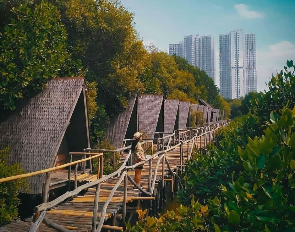 Harga Tiket Masuk dan Lokasi Hutan Pinus Asri, Spot Foto ...