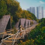 Jam Bukan dan Lokasi Hutan Mangrove PIK Jakarta, Destinasi Wisata Baru Yang Siap Dituju Untuk Mengisi Liburanmu