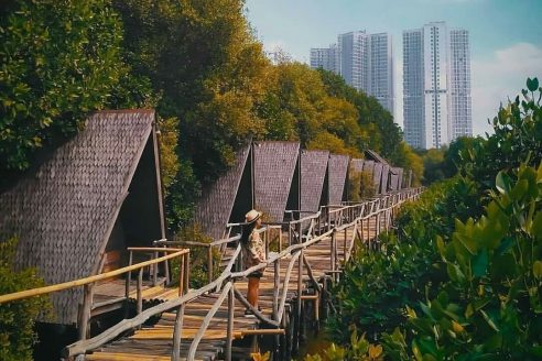 Jam Bukan dan Lokasi Hutan Mangrove PIK Jakarta, Destinasi Wisata Baru Yang Siap Dituju Untuk Mengisi Liburanmu