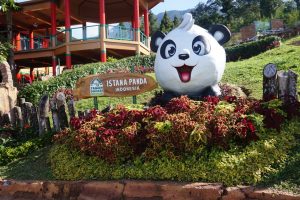 Harga Tiket Masuk dan Lokasi Istana Panda Taman Safari Bogor, Spot Wisata Terbaru Dari Taman Safari