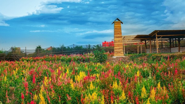 Lokasi dan Harga Tiket Masuk Taman  Bunga  Adn Firdaus  