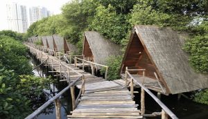 Jam Bukan dan Lokasi Hutan Mangrove PIK Jakarta, Destinasi Wisata Baru Yang Siap Dituju Untuk Mengisi Liburanmu