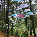 Lokasi dan Jalan Menuju Putri Maron Trenggalek, Destinasi Wisata Baru Siap Menyenangkan Liburanmu