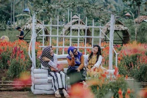 Lokasi Dan Harga Tiket Masuk Taman Seven Selfie Lampung, Destinasi Wisata Dengan Sejuta Spot Foto